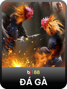 bj88