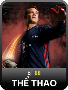 bj88